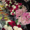 ghada647